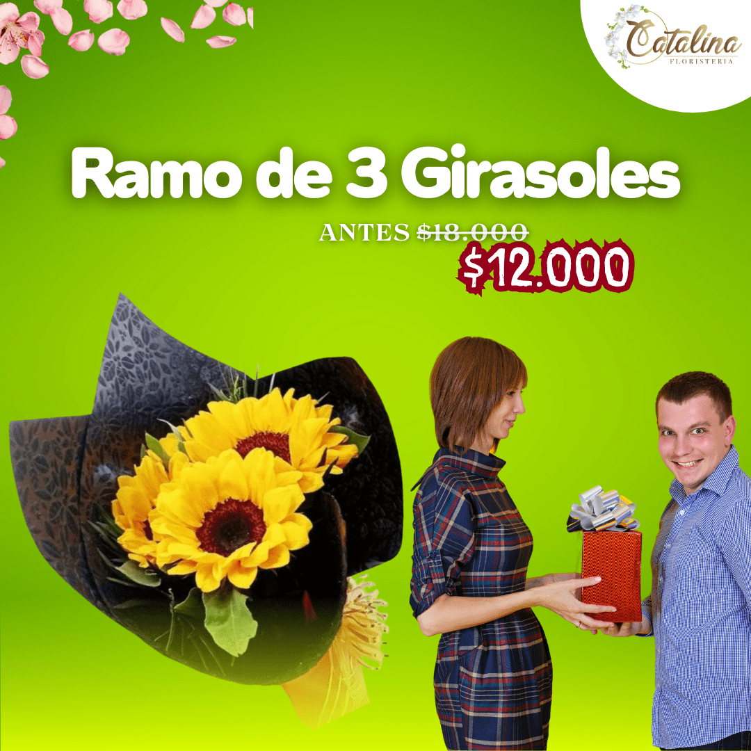 Ramo de 3 girasoles