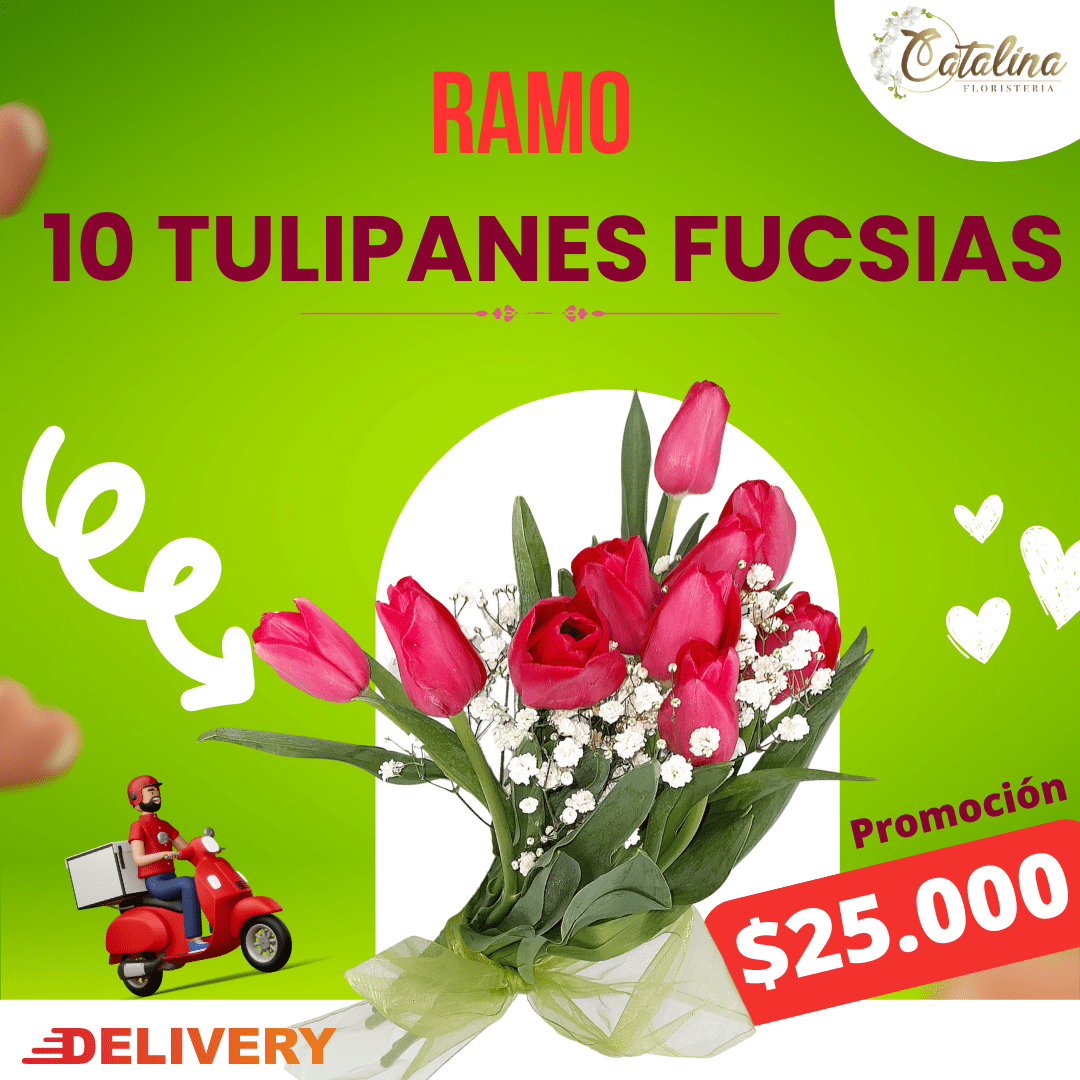 10 Tulipanes Fucsia