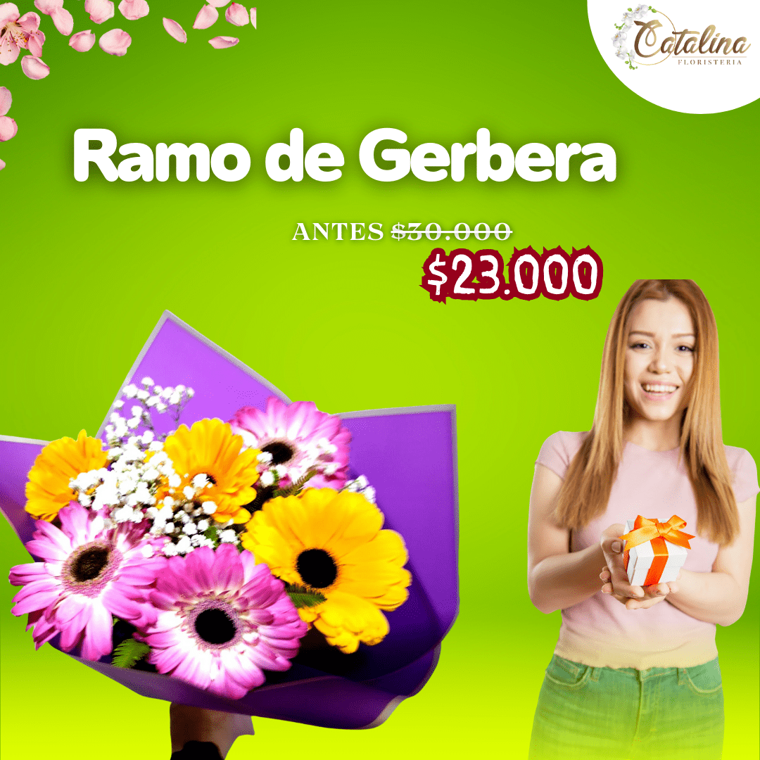 Ramo de Gerbera